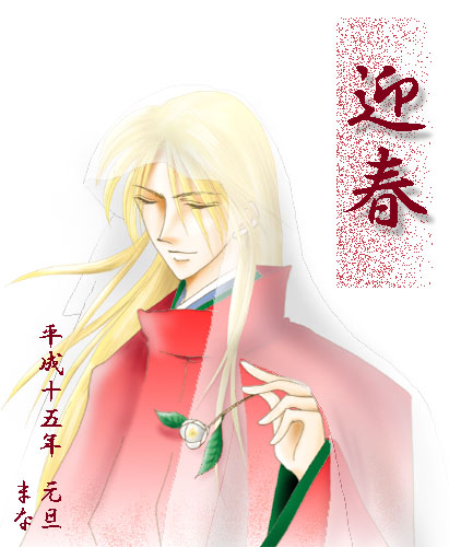 މVN